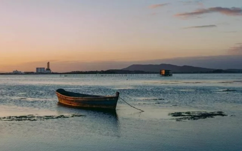 Generic placeholder image