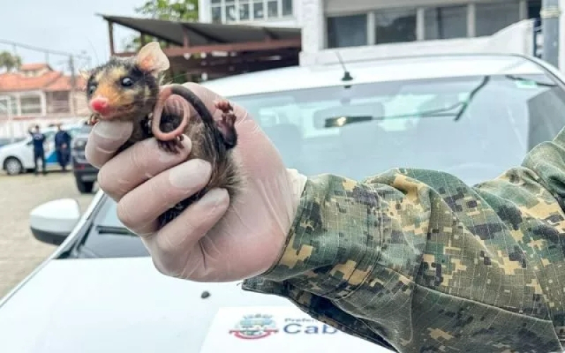 Generic placeholder image