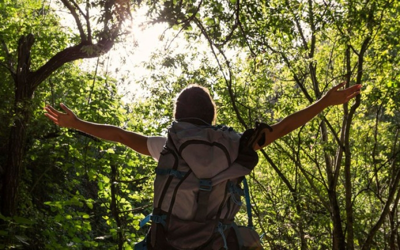 Generic placeholder image