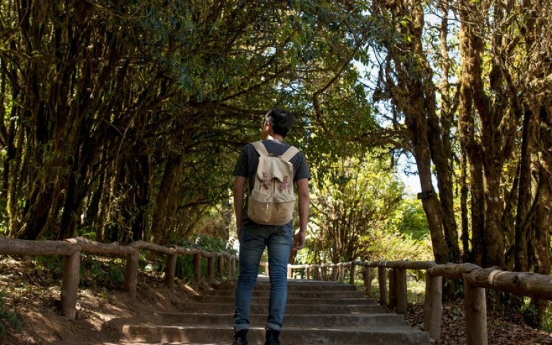 Generic placeholder image