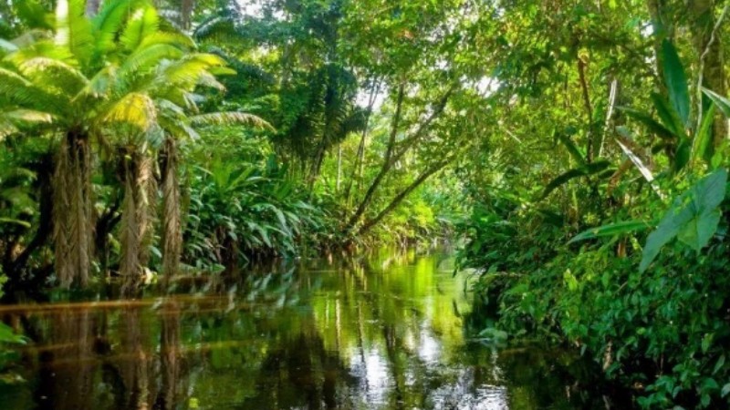 Generic placeholder image