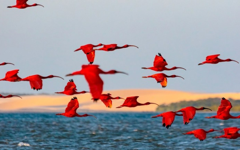 Generic placeholder image