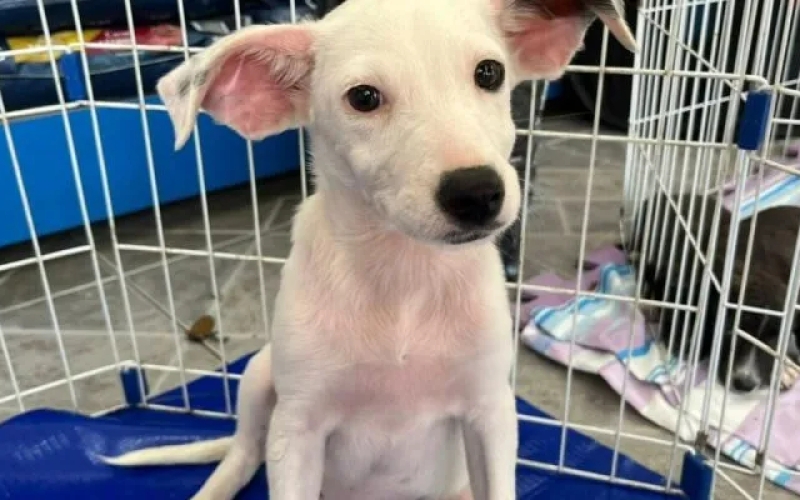 Generic placeholder image