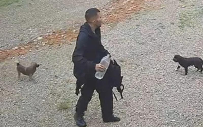 Generic placeholder image