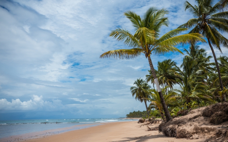 Generic placeholder image