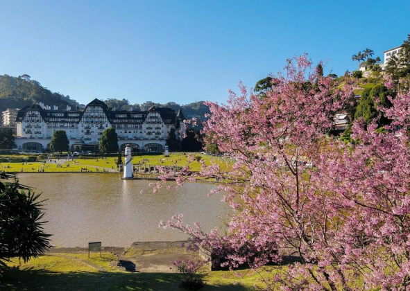 ROTA DAS CEREJEIRAS: UMA ATRAÇÃO À PARTE NO INVERNO EM PETRÓPOLIS