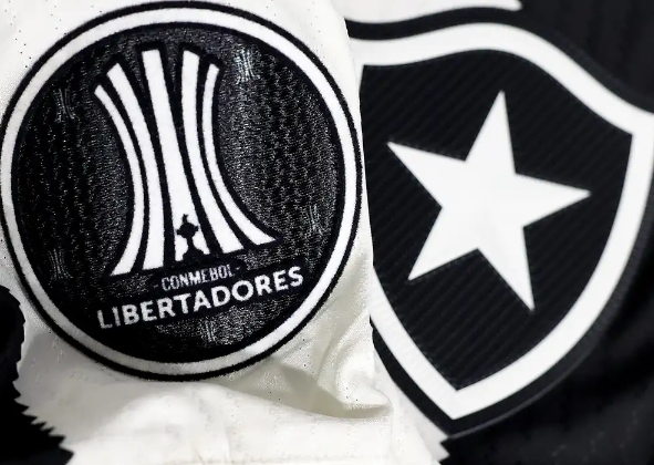 BOTAFOGO IRÁ BANIR TORCEDOR QUE COMETEU RACISMO CONTRA PALMEIRAS