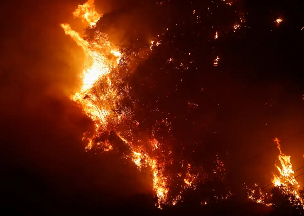 POLÍCIA DO RIO IDENTIFICA 34 AUTORES DE INCÊNDIOS FLORESTAIS 