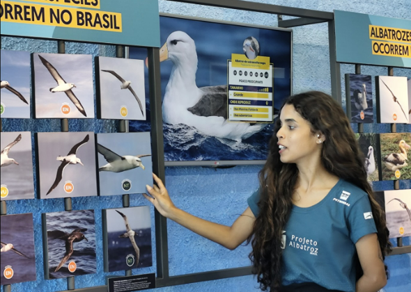 CENTRO DE VISITAÇÃO DO PROJETO ALBATROZ TERÁ CATRACA LIVRE NO FERIADO DE PROCLAMAÇÃO DA REPÚBLICA (15)