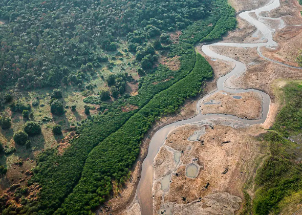 TURISMO E CRISE CLIMÁTICA: OS CAMINHOS SUSTENTÁVEIS PARA A AMAZÔNIA