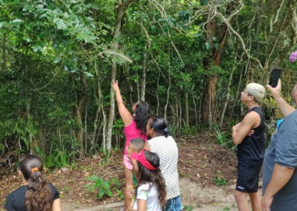 PARQUE NATURAL MUNICIPAL DO MICO-LEÃO-DOURADO, EM CABO FRIO, RECEBE APROXIMADAMENTE 150 VISITANTES EM 2025