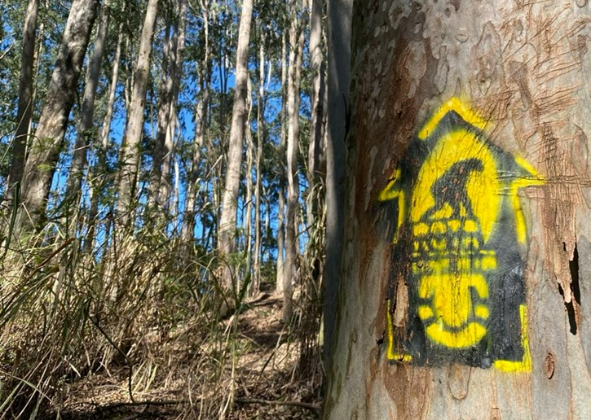NITERÓI ECOTUR SEM BARREIRAS SERÁ NA TRILHA BOSQUE DOS EUCALIPTOS, NO PARQUE DA CIDADE