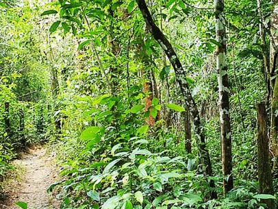 TRILHA AMAZÔNIA ATLÂNTICA AGORA INTEGRA REDE NACIONAL DE TRILHAS DE LONGO CURSO