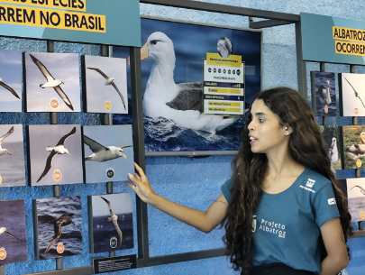 CENTRO DE VISITAÇÃO DO PROJETO ALBATROZ TERÁ CATRACA LIVRE NO FERIADO DE PROCLAMAÇÃO DA REPÚBLICA (15)