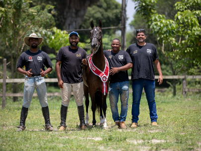 PARQUE RURAL DE NITERÓI RECEBE O I LEILÃO ELITE COM PROGRAMAÇÃO ESPECIAL