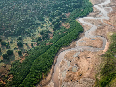 TURISMO E CRISE CLIMÁTICA: OS CAMINHOS SUSTENTÁVEIS PARA A AMAZÔNIA