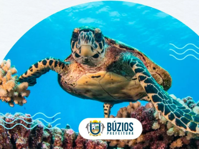 BÚZIOS PRESENTE NO MÊS DO AMBIENTE REALIZA LIMPEZA DO FUNDO DO MAR NA PRAIA DO CANTO NESTE SÁBADO